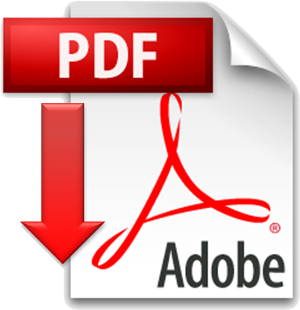 PDF download icone2